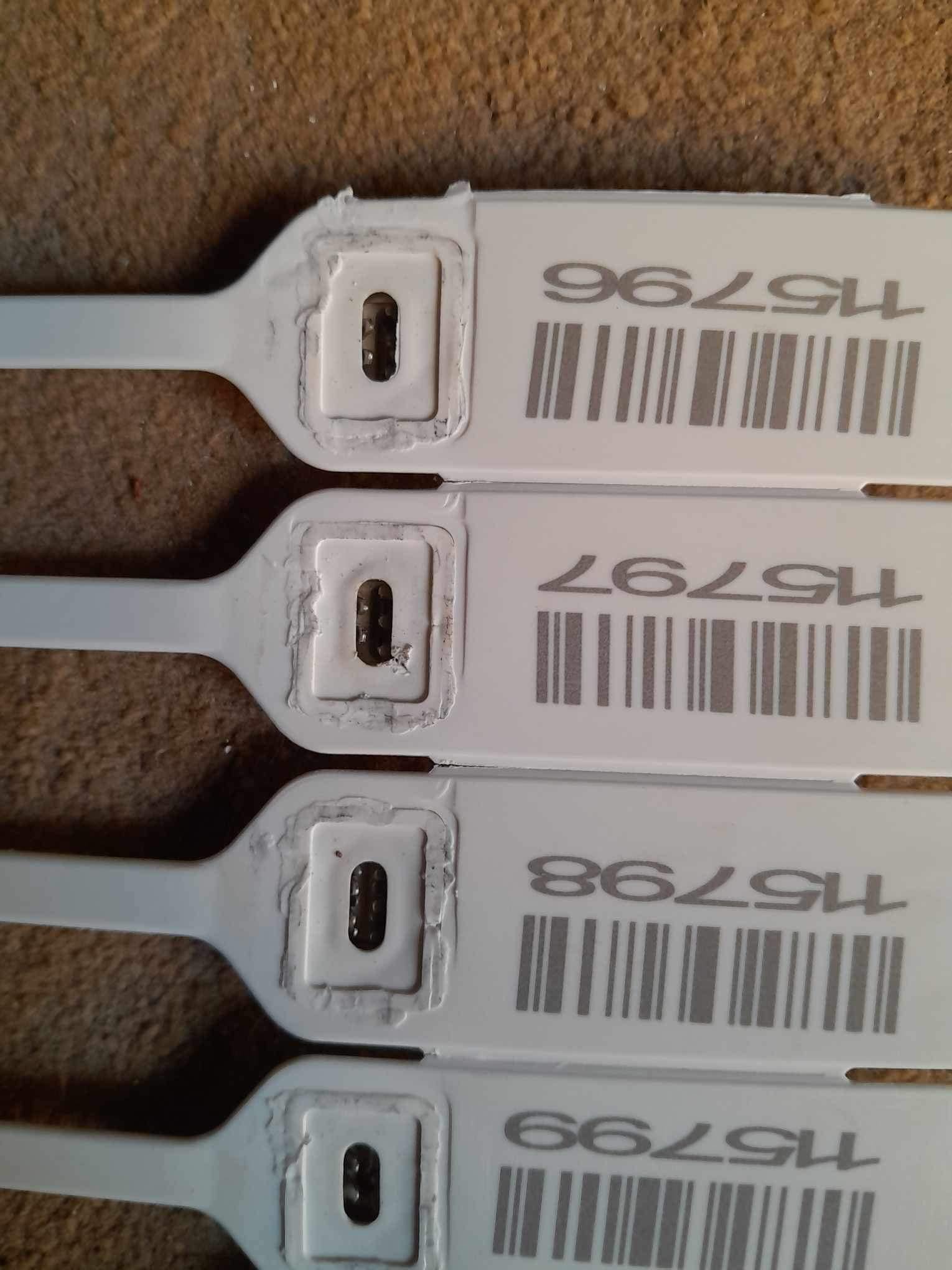 471214634 122151316904318447 3634373435949699731 n