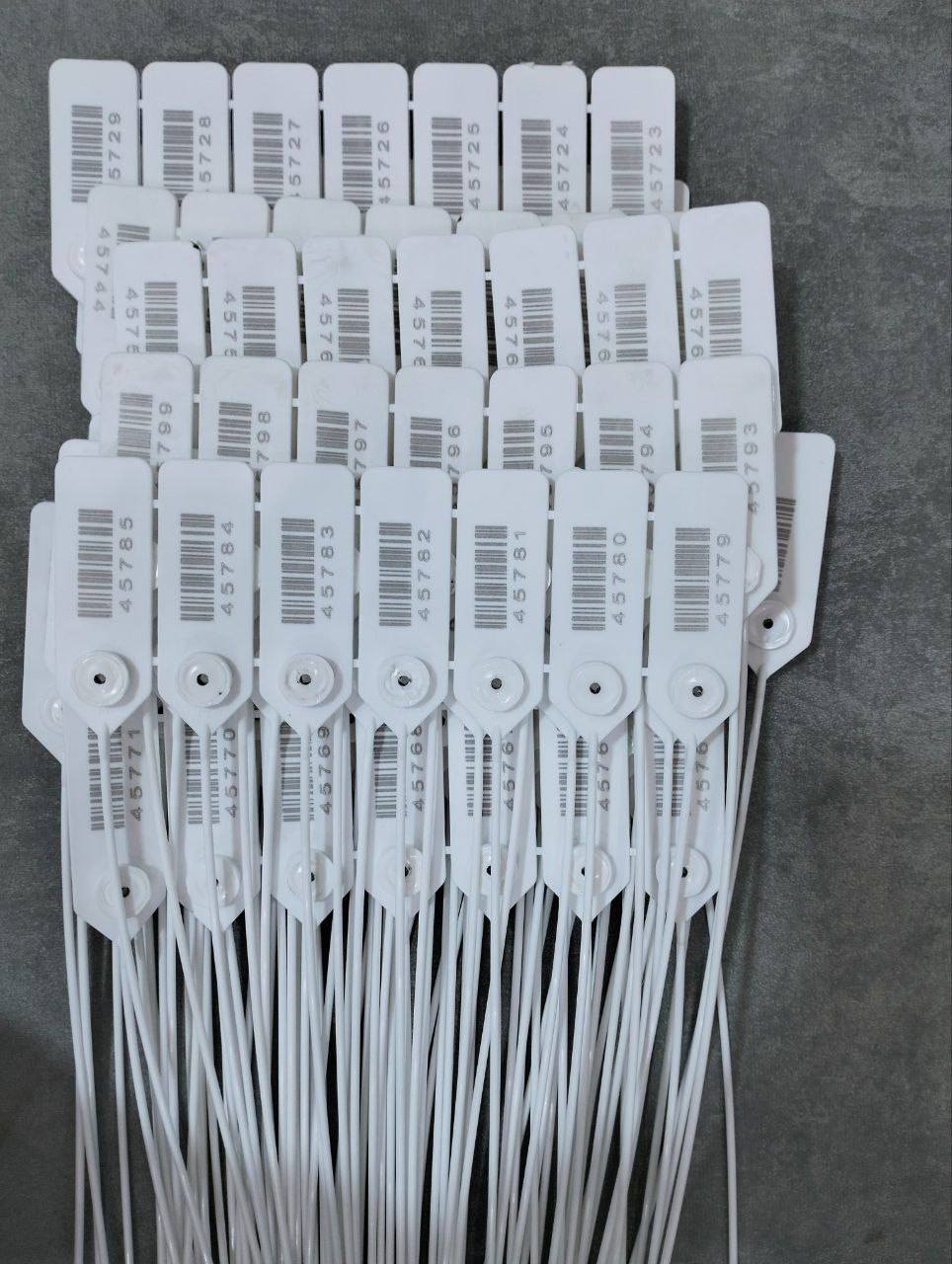 508789600 122138255108675192 2774725868386829798 n