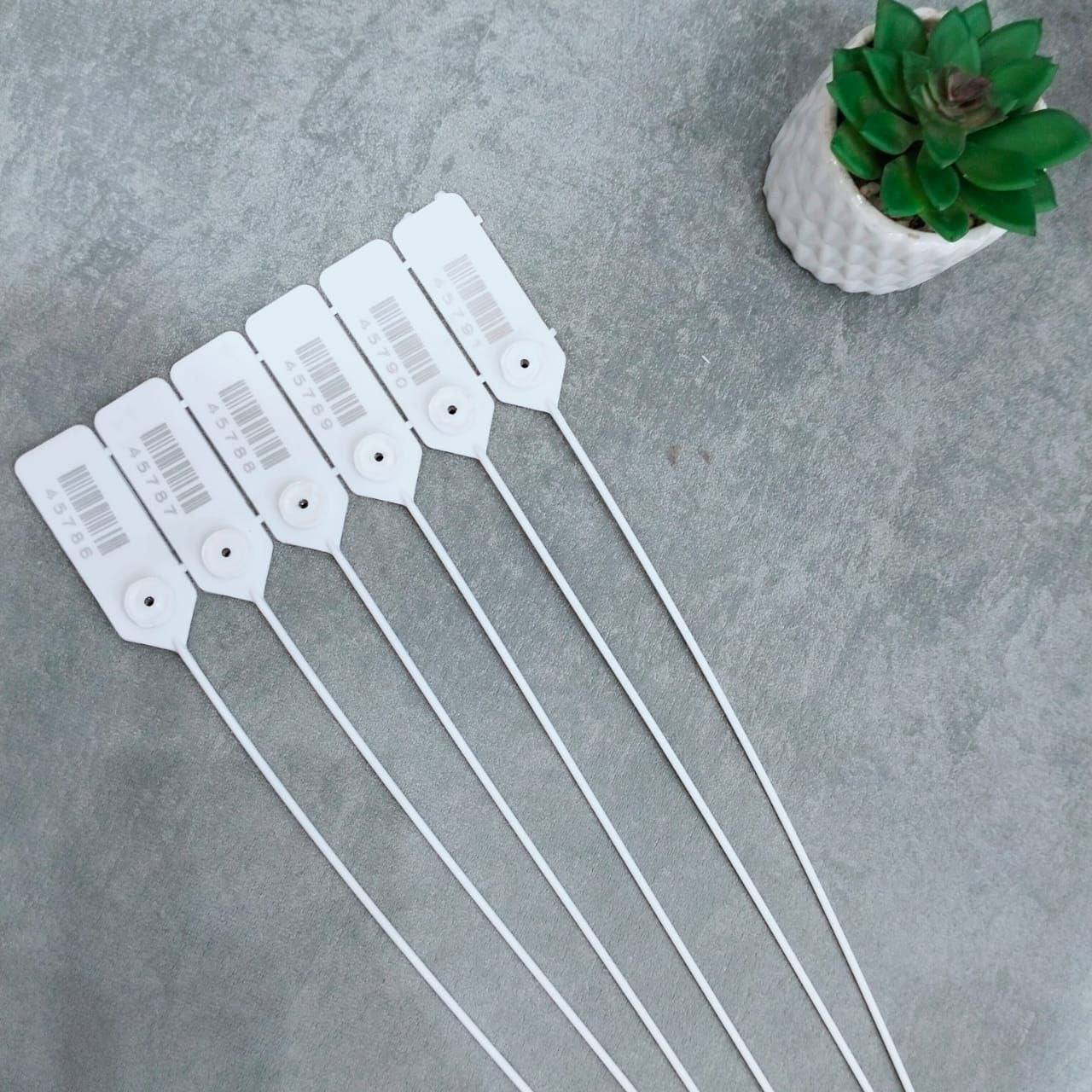 508974000 122138255060675192 6340759191349120728 n