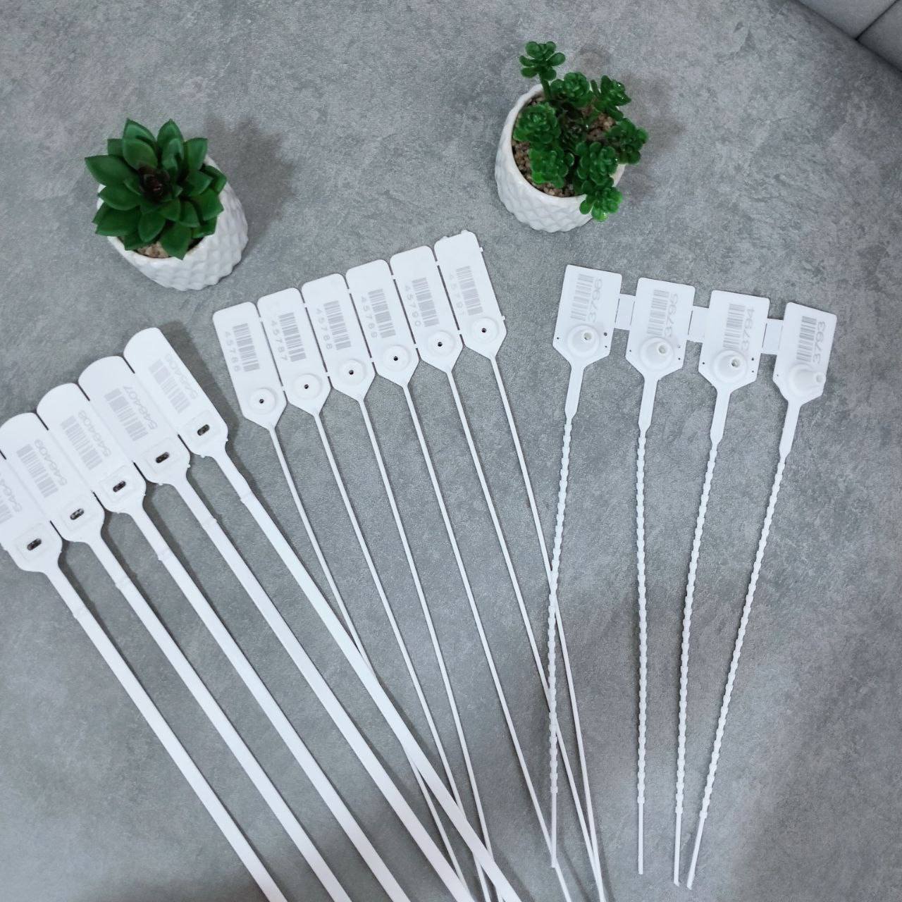 509423533 122138254964675192 7601656624942927937 n