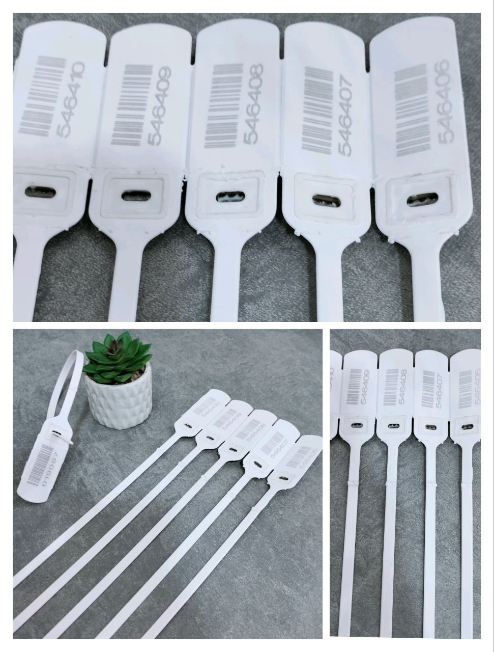 509607720 122138245418675192 3807079598900336610 n