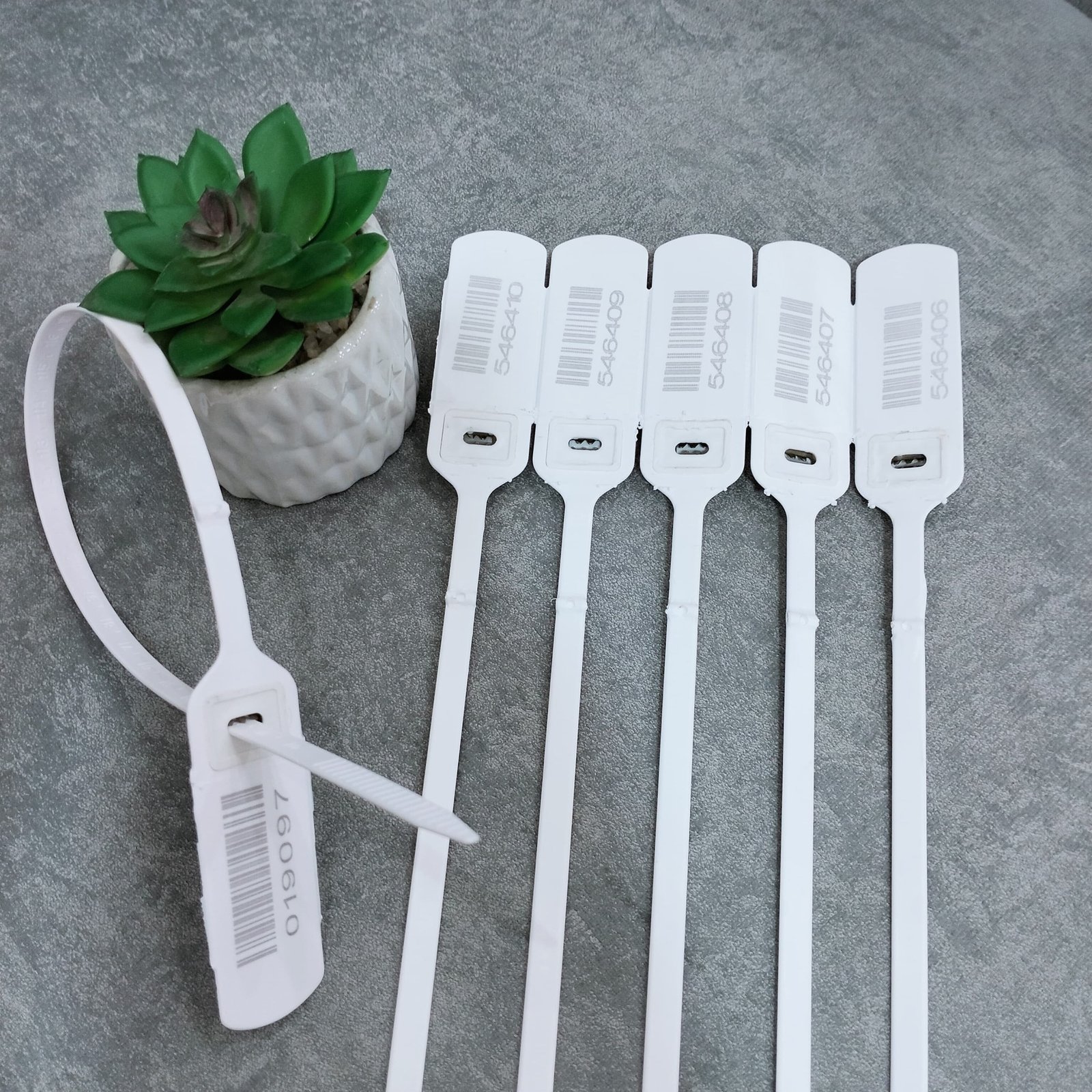 509619559 122139086678675192 5801335137503284647 n