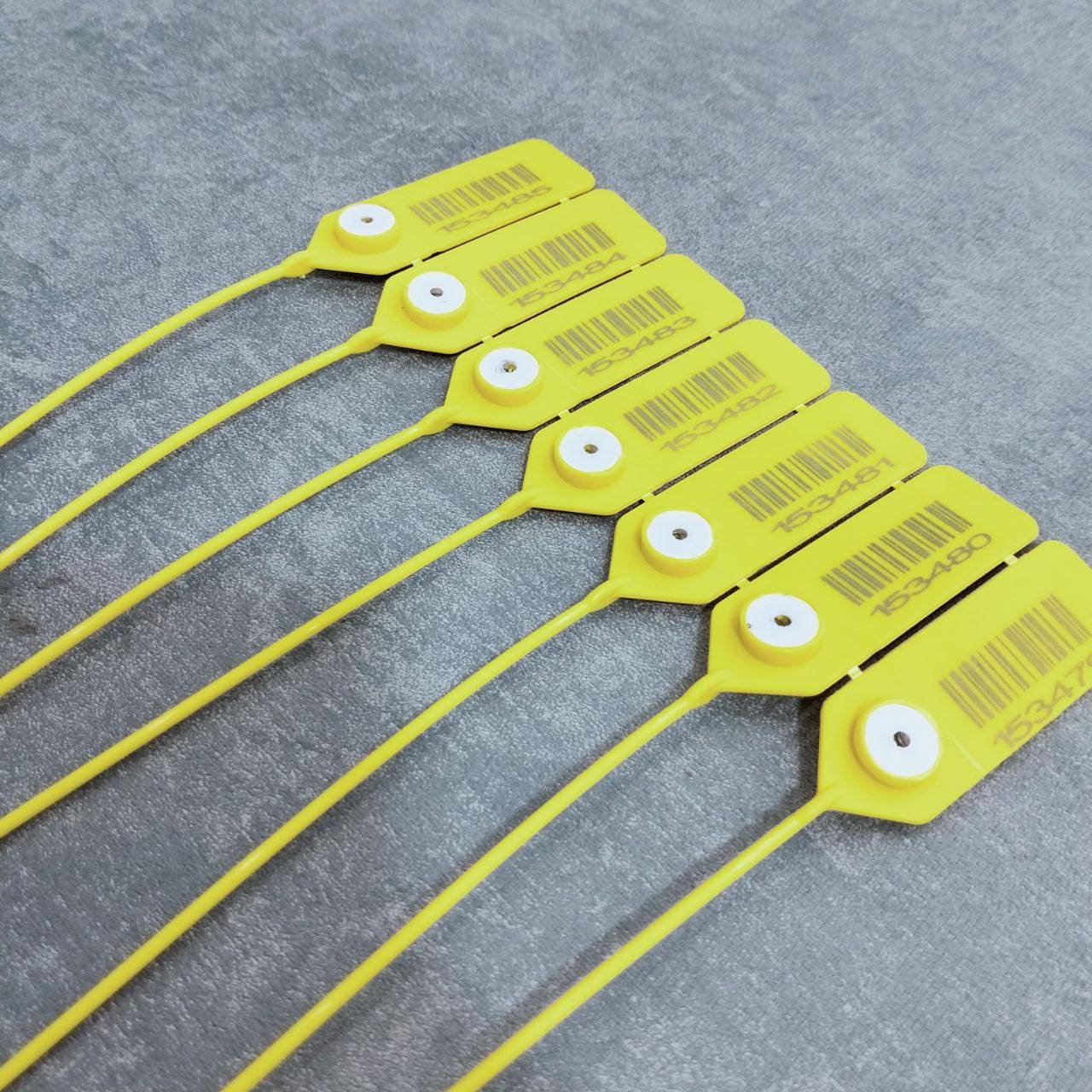 509676707 122138253242675192 7730392225986826057 n