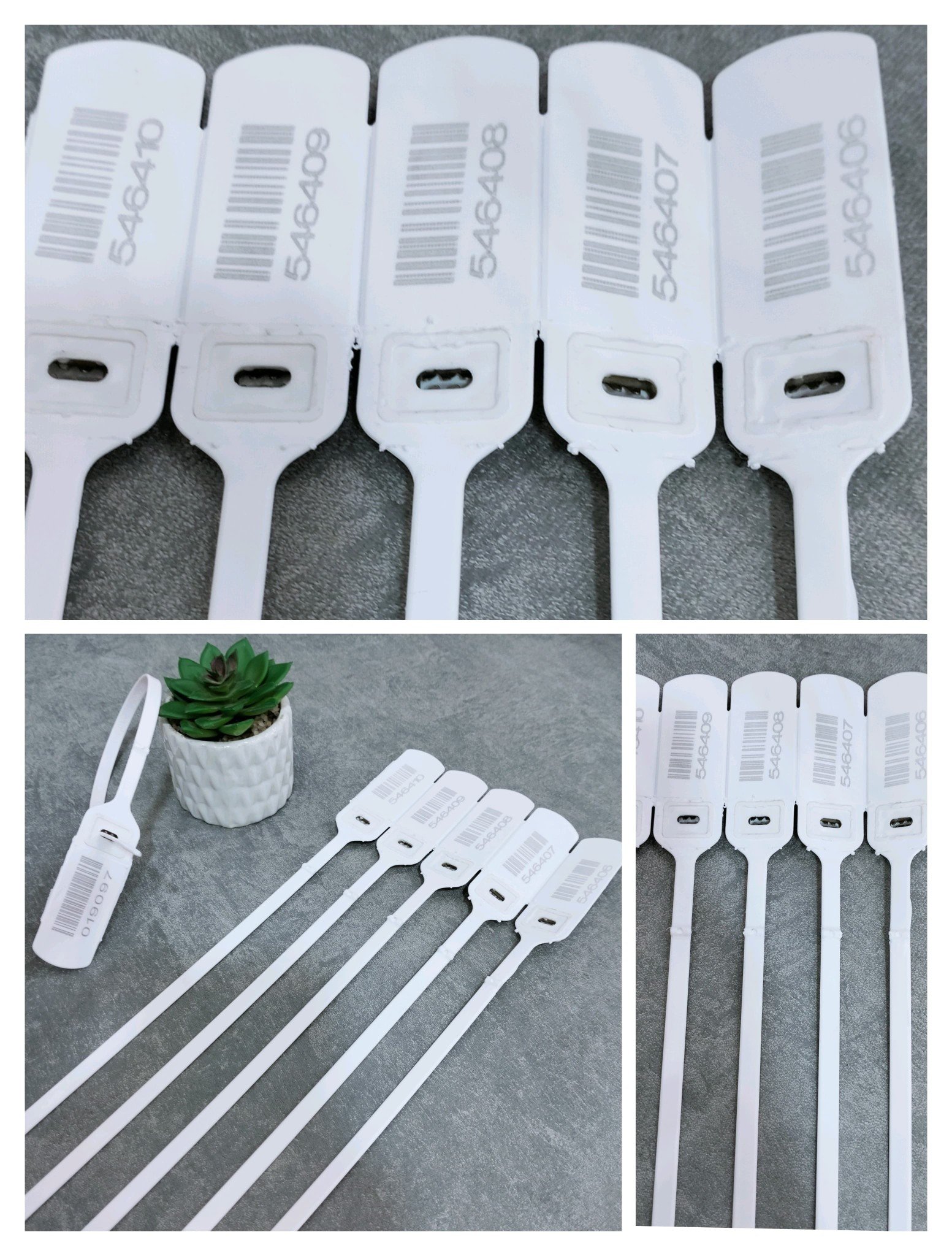 509935346 122139086618675192 70417716055508426 n