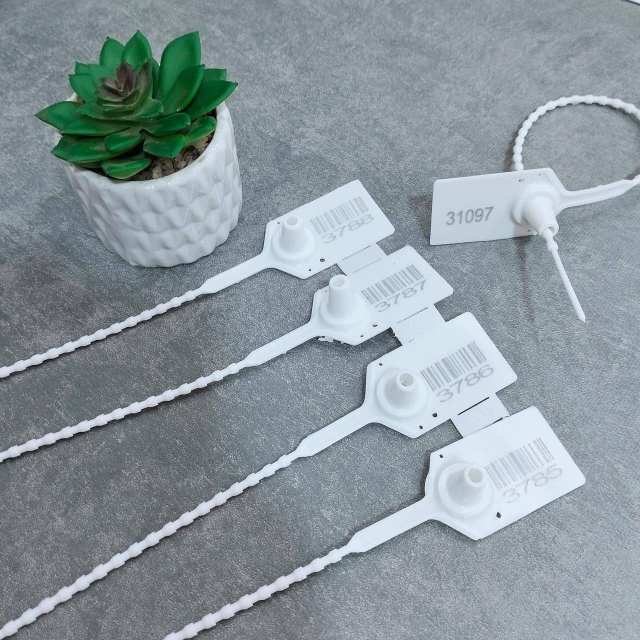 510574453 122138254916675192 7735893934553116169 n