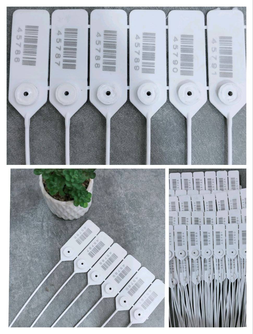 510768678 122138630780675192 1936179919519167467 n