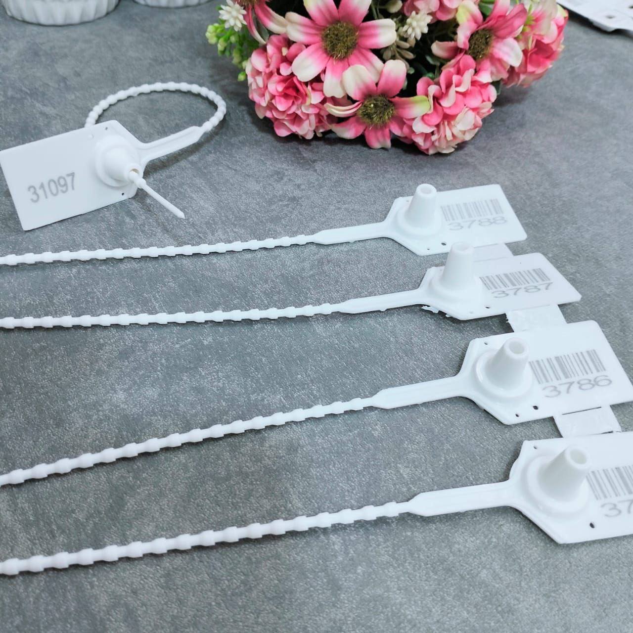 511192937 122138631008675192 7130476246054795371 n