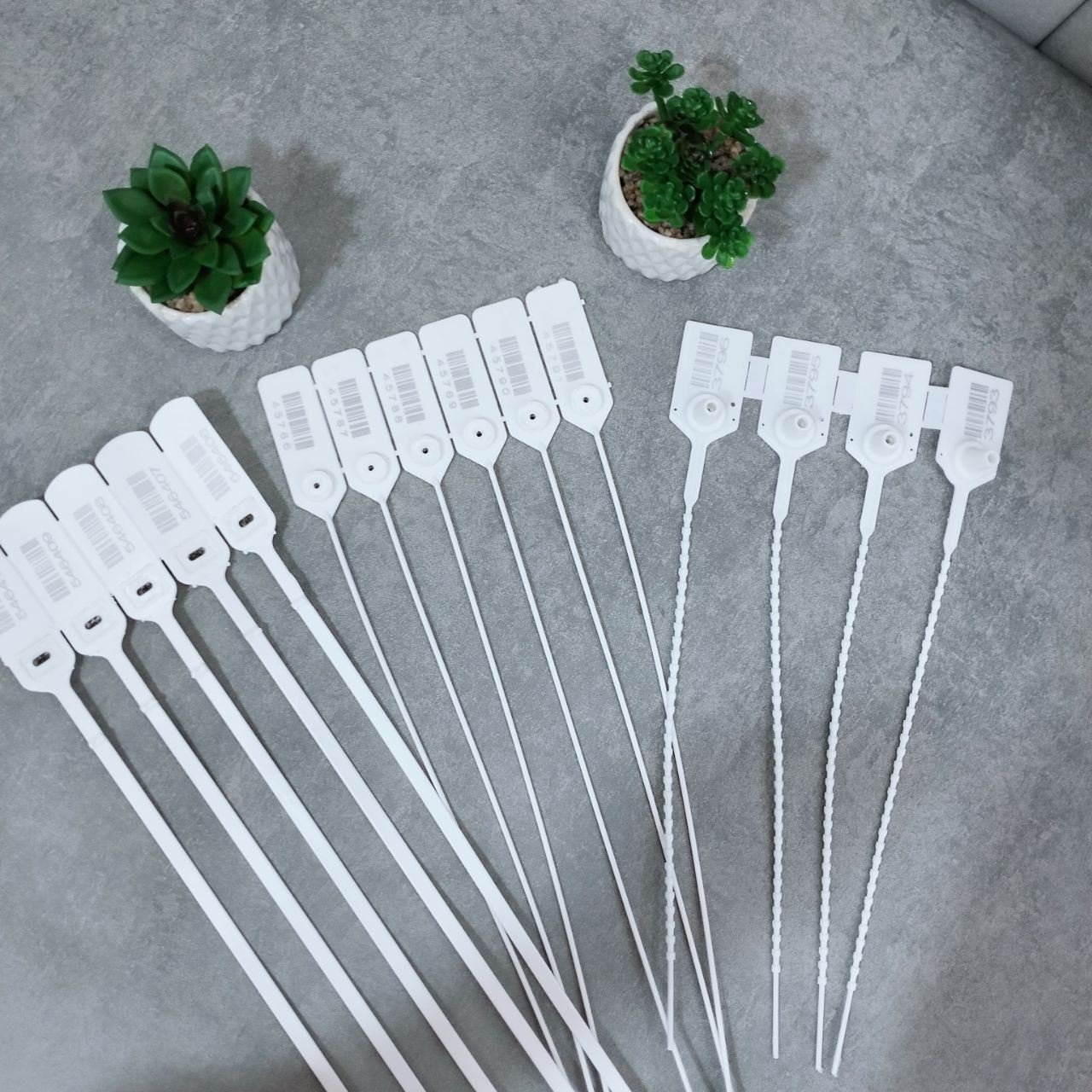 514317302 122140563764675192 5821822413580037483 n