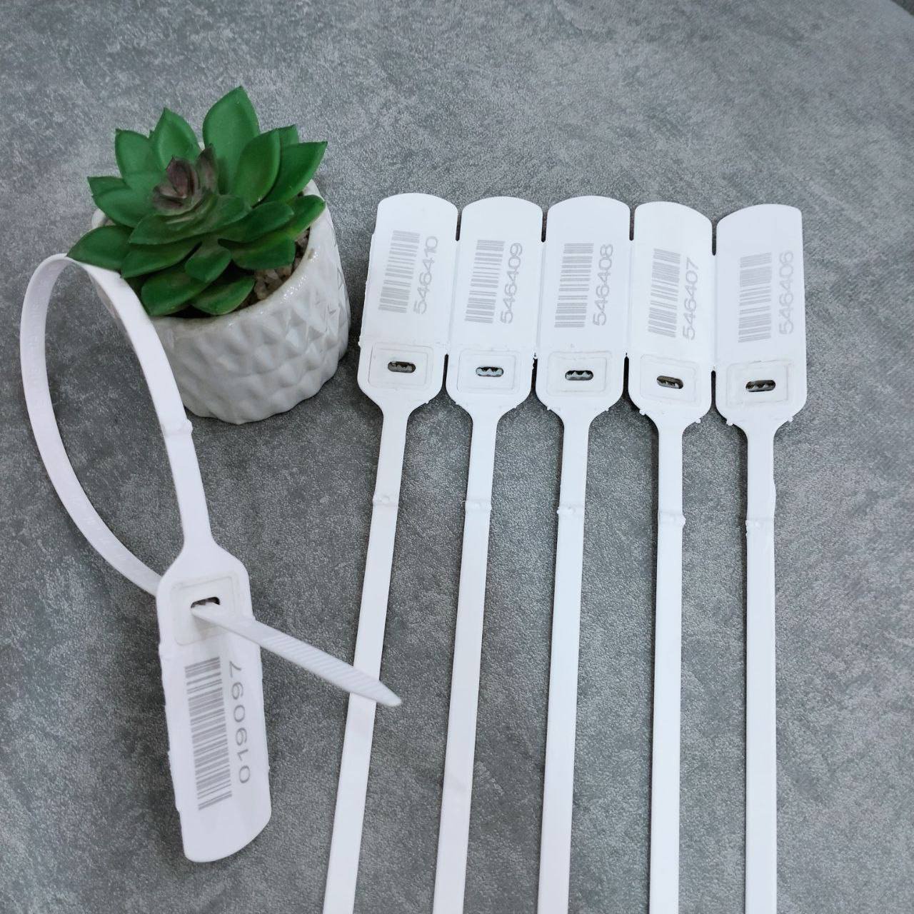 535843145 122154534374675192 4034835875349384012 n