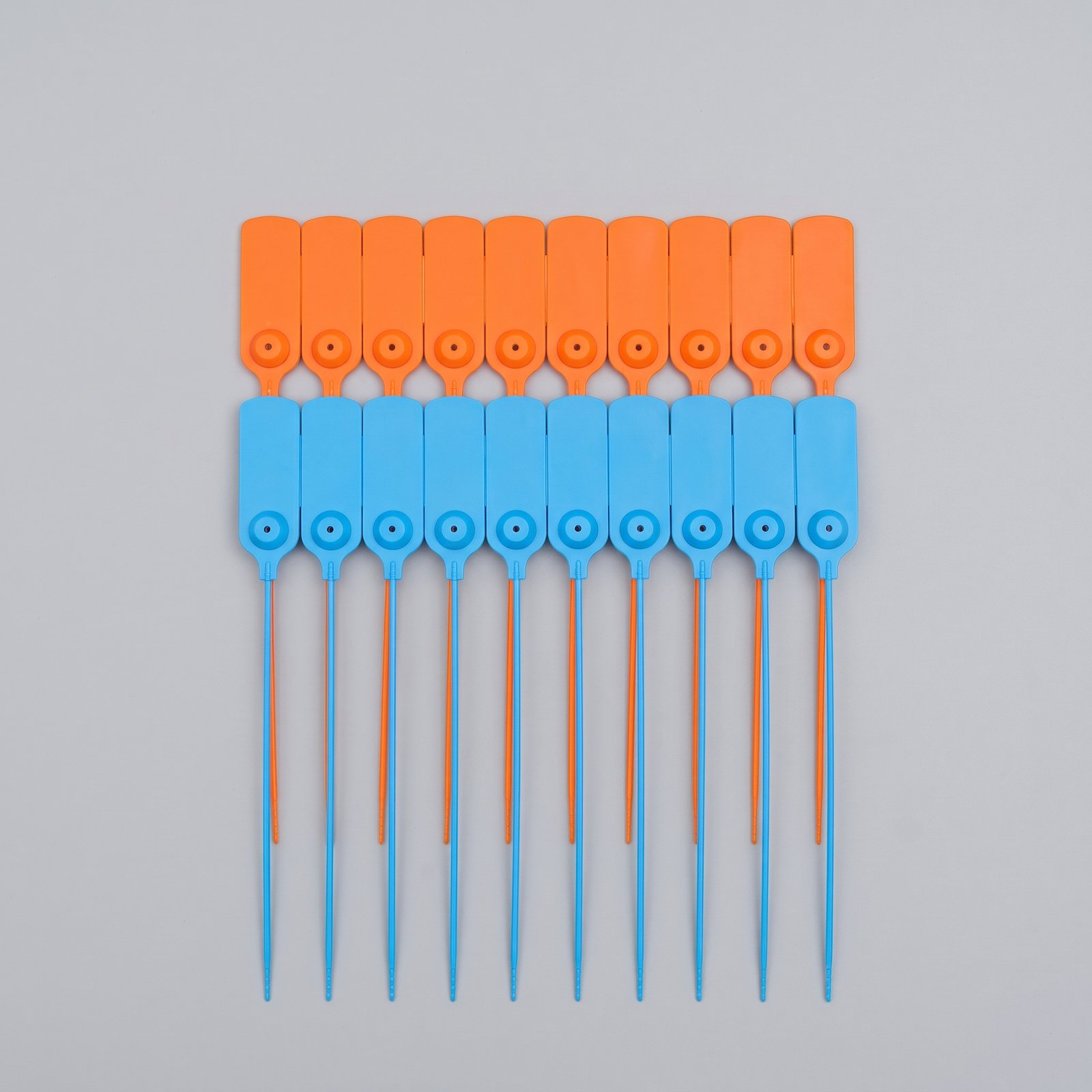 red-blue-seal-back